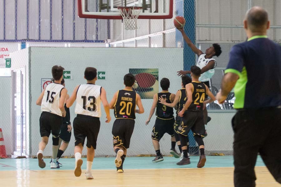 Básquetbol: Colo Colo busca volver al triunfo en el Torneo de Apertura de  la Asociación Santiago